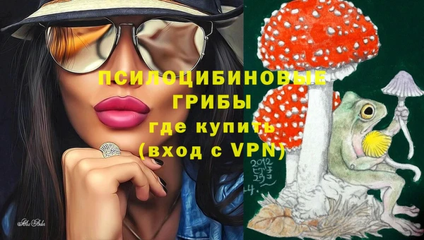 Альфа ПВП Весьегонск