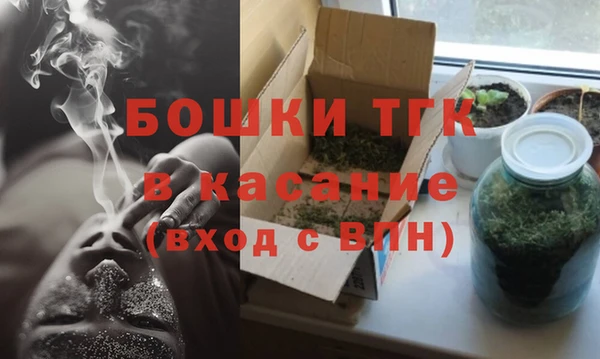 твердый Новодвинск