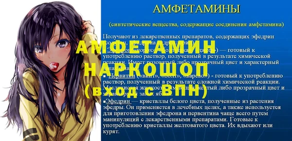 твердый Новодвинск