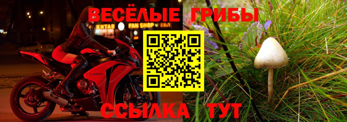 Галлюциногенные грибы мухоморы Зеленодольск