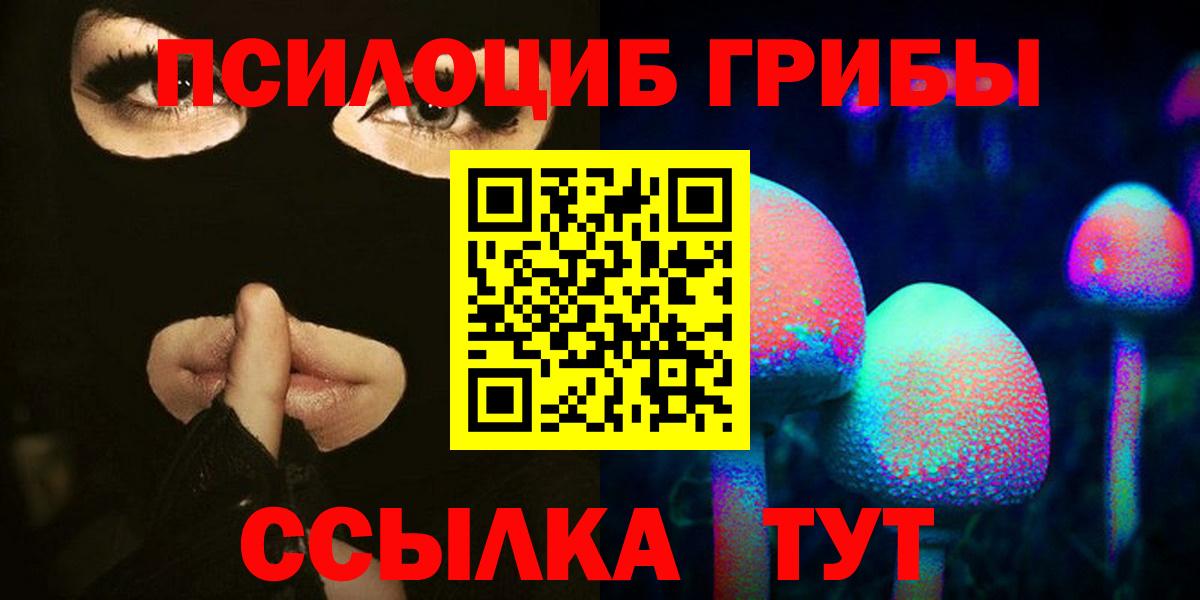 хочу наркоту  Зеленодольск  Галлюциногенные грибы мухоморы 