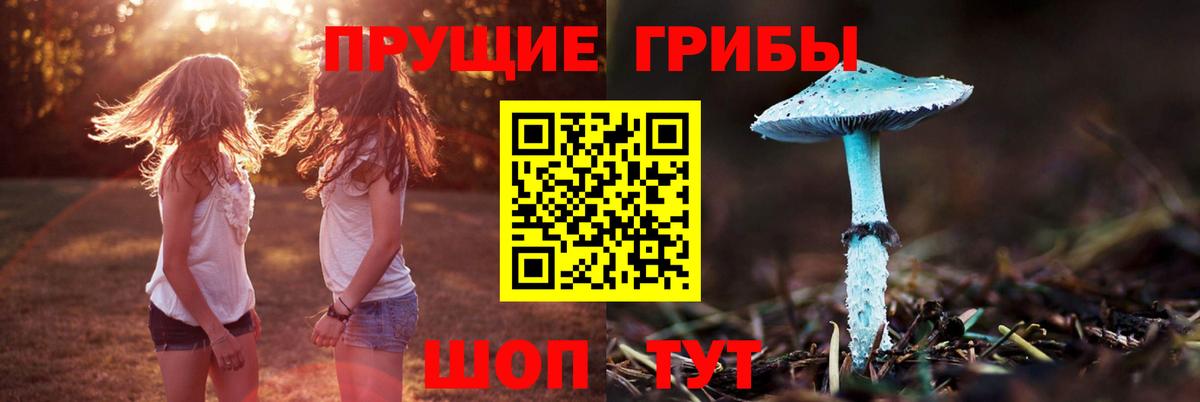 даркнет сайт  Галлюциногенные грибы мухоморы  Псилоцибиновые грибы мухоморы  Вход с VPN  Зеленодольск 